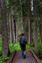 Obraz premium Woman Crosses Log Bridge into Thick Forest