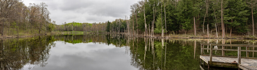 Fototapeta na wymiar Beaver Pond