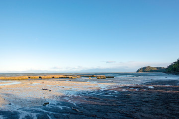 Puponga Farm Park,South Island,New Zealand