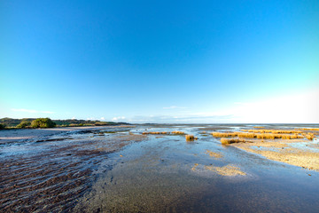 Puponga Farm Park,South Island,New Zealand