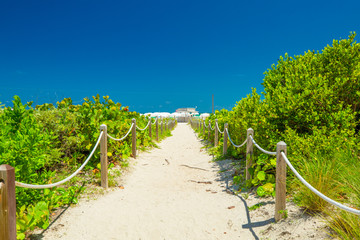 Fototapeta na wymiar Beautiful sandy walkway to the beach. Miami Beach. Florida.