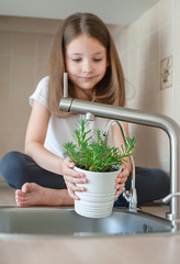 Little girl is holding a pot with Rosmarinus officinalis (rosemary) and watering young plant. Caring for a new life. Child's hands. Selective focus. Earth day holiday concept. World Environment Day