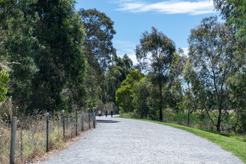path in the park