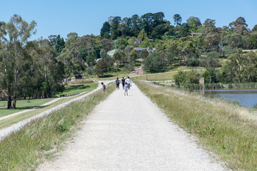 Obraz premium road in the countryside