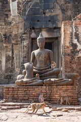 Fototapeta premium Monkeys with stone Buddha Sculpture
