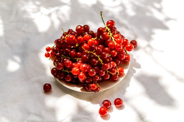 Fresh red currant on a white plate stand on a table with a white tablecloth. Fresh harvest of this year. Concept of healthy food, vitamin C. Copy space
