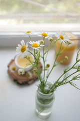 Cup of herbal chamomile tea on a windowsill. Chamomile tea in a whitecup and camomile flowers. Herbal tea for baby's stomach, remedy alternative. Copy space
