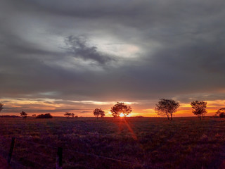 Sol perdido en el llano