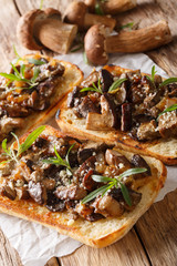 Sandwiches with fried porcini mushrooms, caramelized onions and thyme close-up. vertical