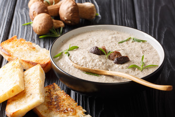soup puree forest boletus mushrooms close up in a bowl served with toast. horizontal