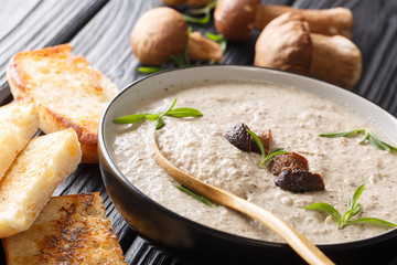 Thick soup puree of fresh wild mushrooms with thyme close up in a bowl served with toast. horizontal