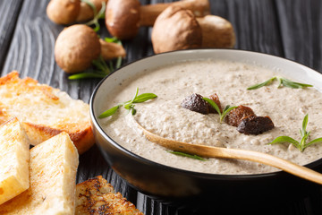 Fragrant soup with fresh porcini mushrooms and thyme close-up in a bowl served with toast. horizontal