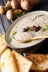 Cream soup of fresh porcini mushrooms with thyme with a brick plan in a bowl served with toasts. vertical