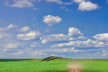 Fototapeta premium picturesque view of road among agricultural field with white fluffy clouds in blue sky at sunny summer day