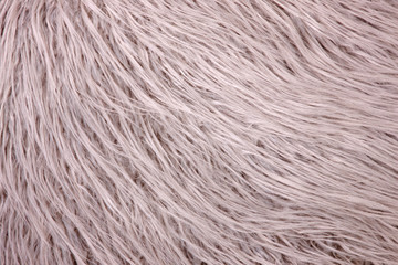 Background from natural fur. Animal Hair Background. Black and White Background.