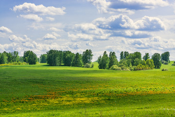 Naklejka premium picturesque view of green field with white fluffy clouds on blue sky at sunny day