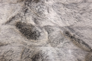 Background from natural fur. Animal Hair Background. Black and White Background.