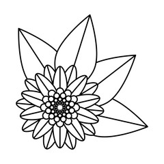 flower hindu decorative isolated icon