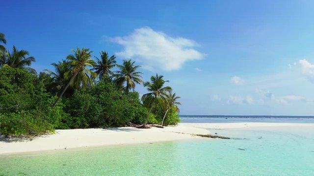 drone aerial footage of tropical island with palms and white sand beach with small ocean turquise waves coating it caribbean