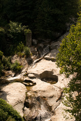 pilio greece apple tree plantage next to a river