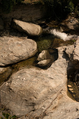 pilio greece apple tree plantage next to a river