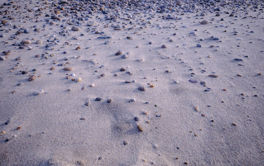 Rocky stewn beach on Martha's Vineyard at lowtide