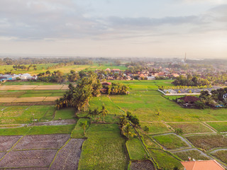 Image of beautiful Terraced rice field in water season and Irrigation from drone,Top view of rices paddy