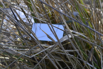 miror in the grass