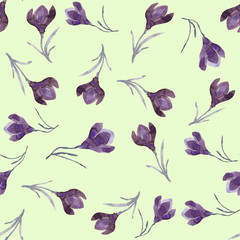 Seamless pattern with watercolor red crocuses on a white background. Hand painted paints, handmade. - 274176988