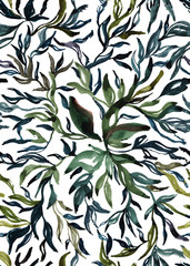 Fototapeta premium Abstract watercolor summer tropical background with colorful leaves on a white background. Hand painted paints, handmade. Old style.