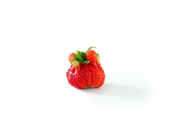 One red strawberry irregular shape isolated on white background, closeup