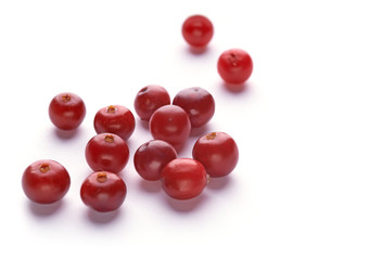 Forest berries. Red cranberries on white background. 