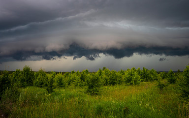 stormy sky, low thunder clouds hung over the young forest