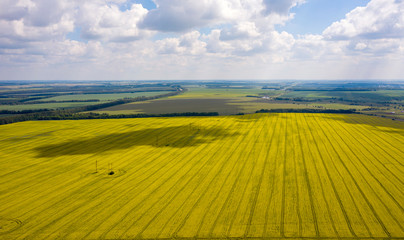 view from the quadcopter on the field of flowering rapeseed with intricate patterns of clouds floating in the sky