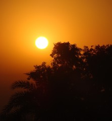 Beginning of a Morning