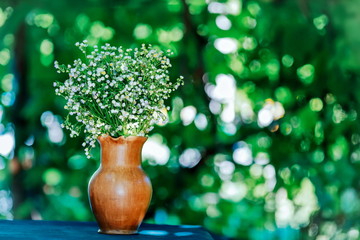 beautiful wildflowers gathered in a vase