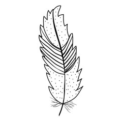 cute bohemian feather decorative icon