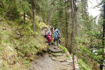 Fototapeta premium mother with sons hiking in the woods. Sayan mountains, Ergaki natural park, south East Siberia