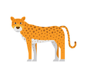 cartoon leopard isolated on white background flat illustration