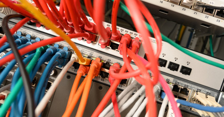 network server panel with colorful ethernet cable on switches in a school system