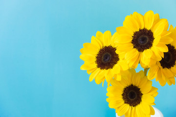 Sunflower, light blue background. ひまわり　水色背景