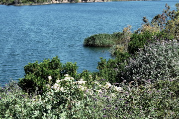 the lake of a Greek dam