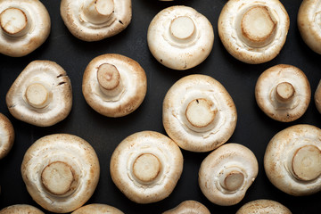 Mushrooms close up