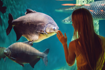 Young woman touches a stingray fish in an oceanarium tunnel