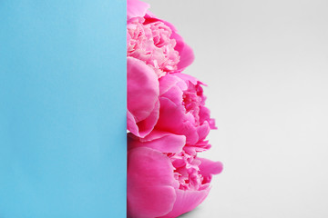 Beautiful peony flowers and blank card on light background
