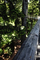 Holzsteg