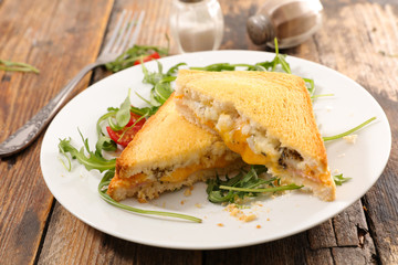 croque monsieur, toast bread slice with ham and cheese