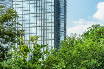 Fototapeta na wymiar green trees front of modern glass office building.