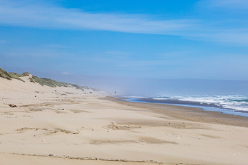 Looking along a sandy beach in Oregon on a sunny but windy summers day
