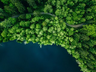 Aerial top view of country road in green summer forest and blue lake. Rural landscape in Finland.